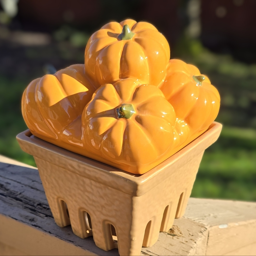 HomeWorx Pumpkin Candleholder & Candle Fall Thanksgiving